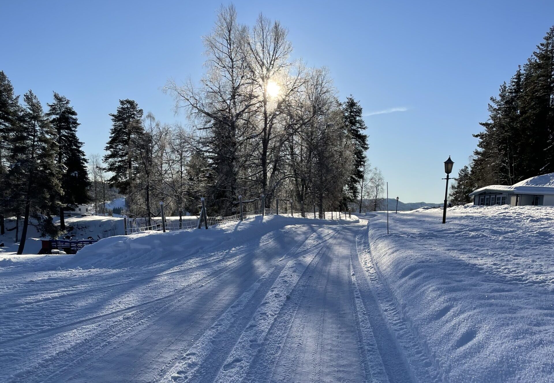 sykepleier midt telemark