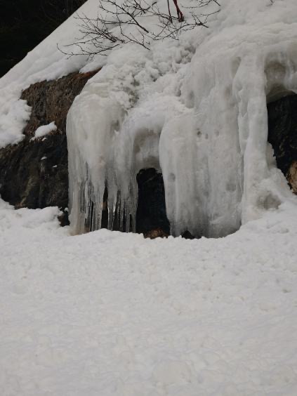 vikar house job sykepleier