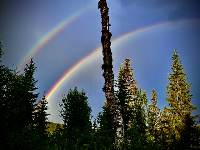 Sykepleiervikar på topptur: – Fjell og frisk luft er den beste medisinen!